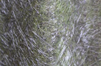 Stranocum fibreglass roof work